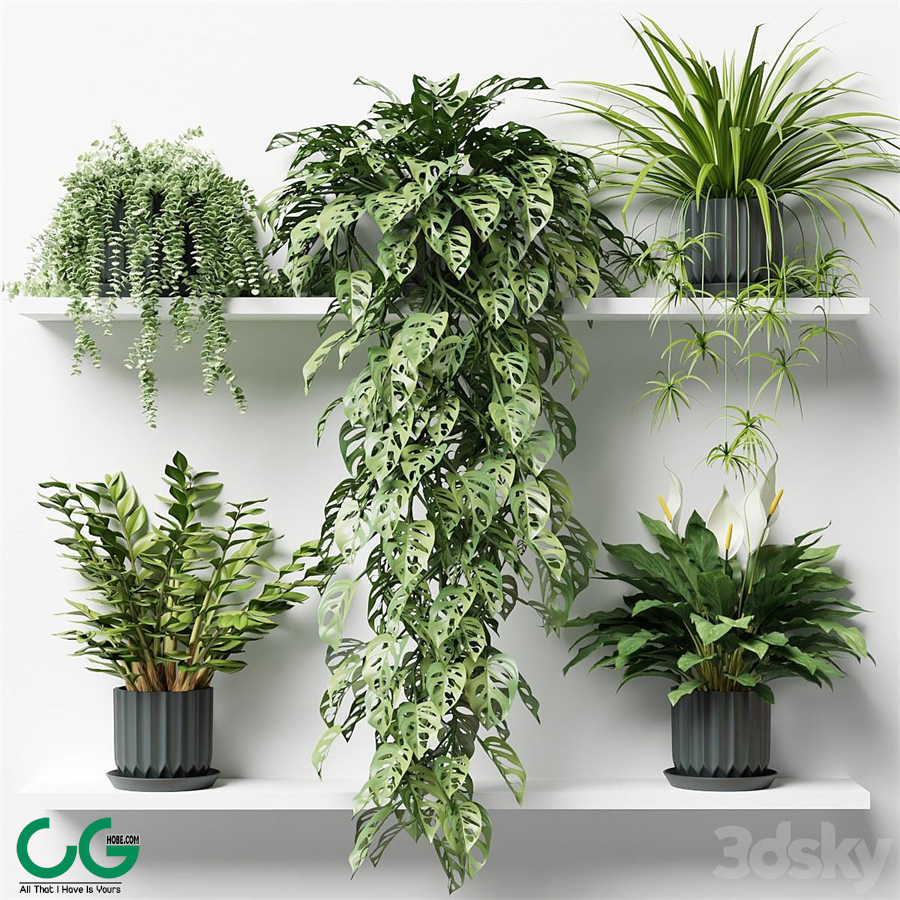 Plants on a shelf in ribbed pots